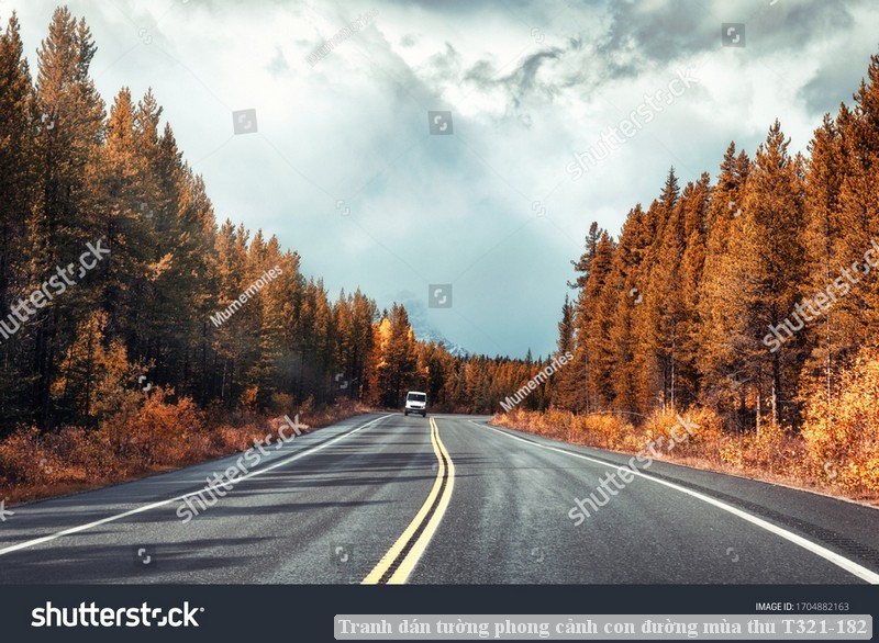 Tranh dán tường phong cảnh con đường mùa thu T321-182